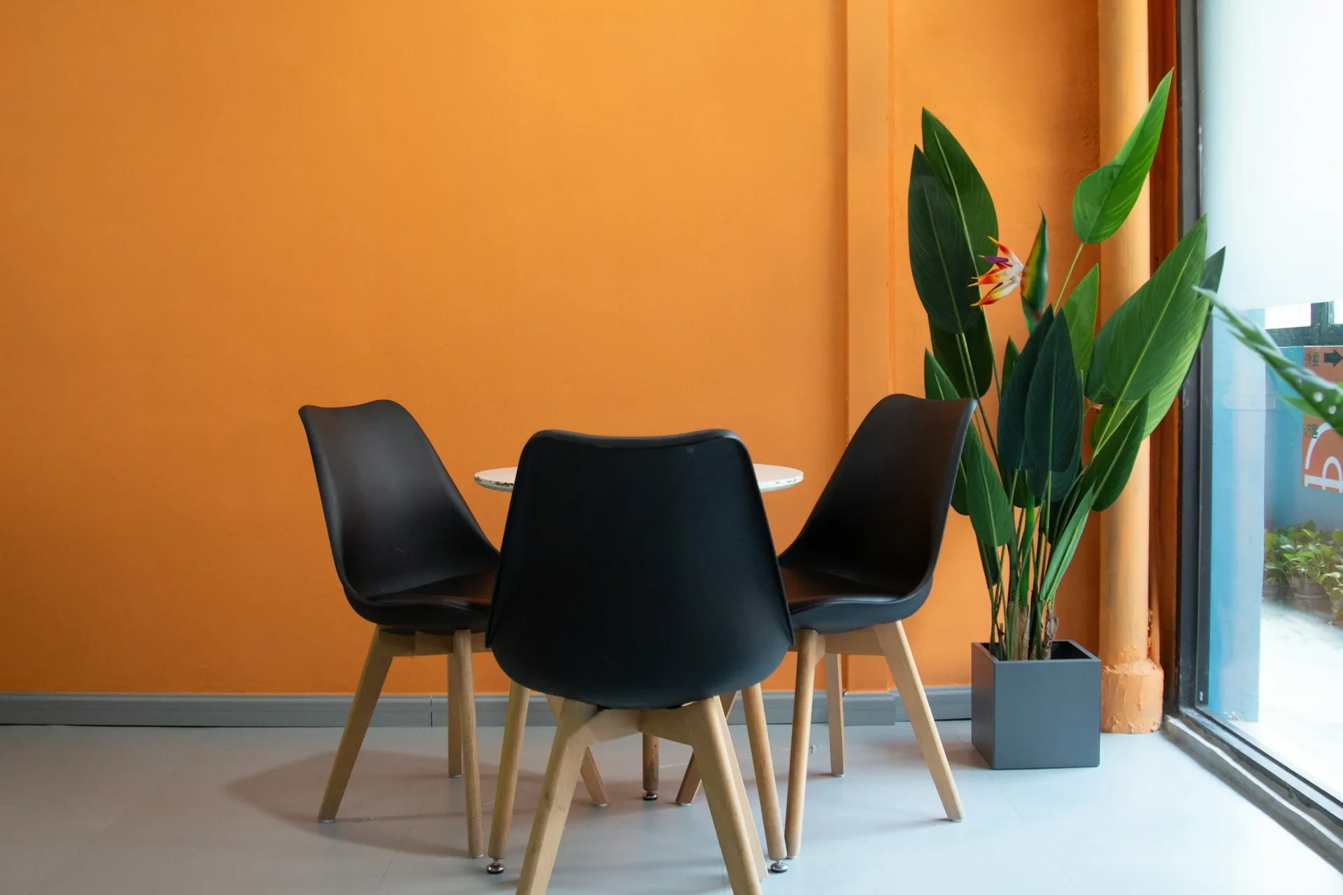 A bright meeting room with an orange wall, black chairs around a white table and a tall plant