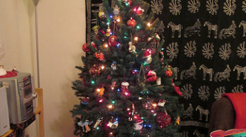 Christmas Decorations 2010